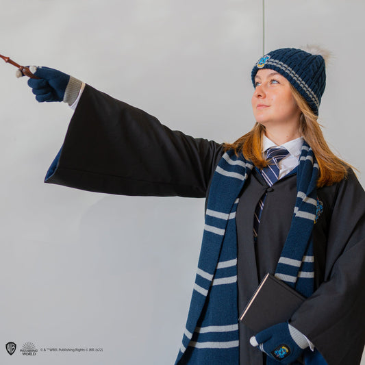 Komplettes Ravenclaw-Outfit für Erwachsene