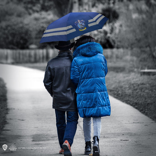 Ravenclaw-Regenschirm
