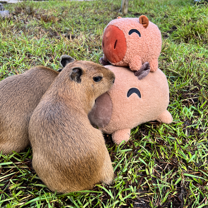 Wasserschwein-Stickie (15 cm)