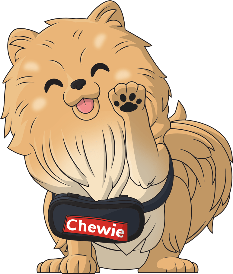 Chewie der Zwergspitz