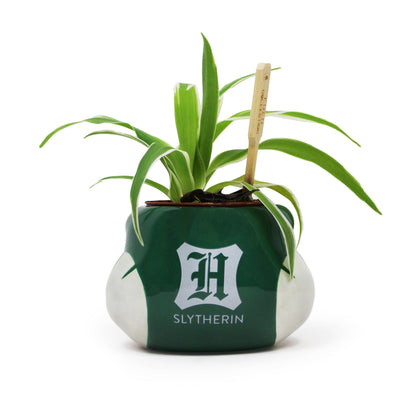 Pot de fleurs Harry Potter - Serpentard