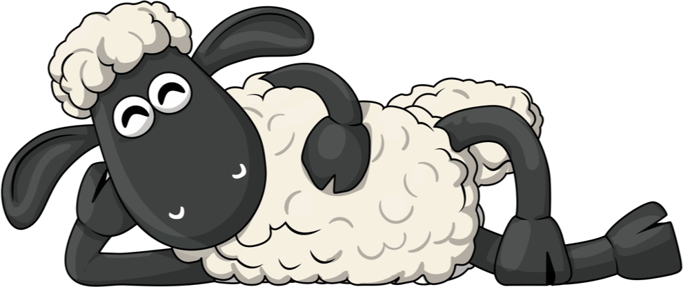 Shaun 