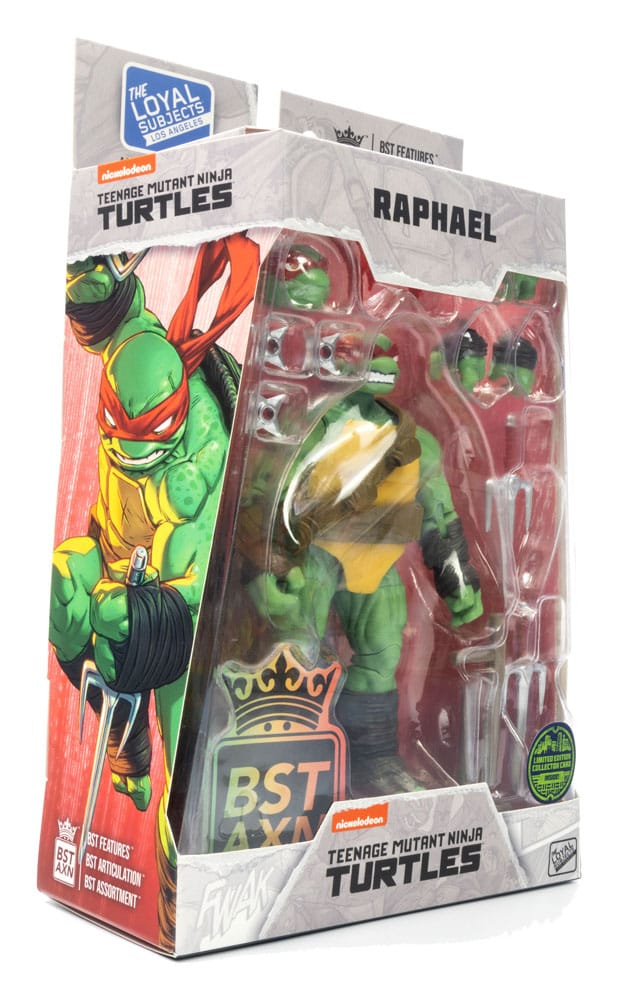 BST AXN Raphael (IDW Comics) 